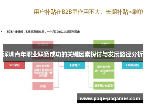 深圳青年职业联赛成功的关键因素探讨与发展路径分析
