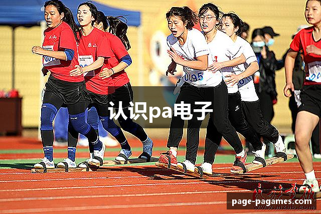 认识pa电子